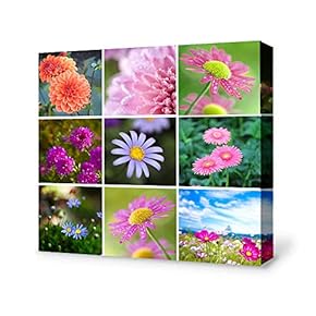 Canvas Wall Art Fresh Flower Canvas Painting Wall Poster Decor for Living Room Wooden Framed Home Decorations - 12x12 inches