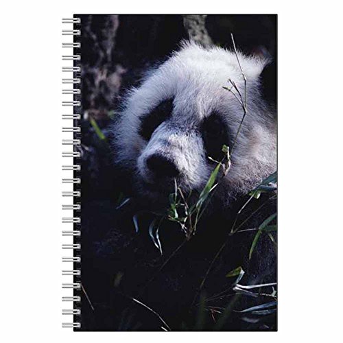 Panda Notebook Journal - Animal Design - Spiral Bound - 80 Lined Pages - Stationery Paper - Office Supplies