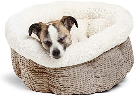Cuddle Cup Mason Cozy Microfiber Cat And Dog Bed In Latte Latte Mason Standard Cup Msn Lte Buy Online At Best Price In Uae Amazon Ae
