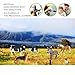 Volnau Farm Animal Toys Figurines 14PCS Barn Figures for Toddlers Kids Preschool Educational Cow Sheep Cock Hen Dog Pig Sets Christmas Decoration Gift