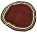 Genuine Brazilian Agate Slice. Includes Agate Authentication Card. RED RUST (4