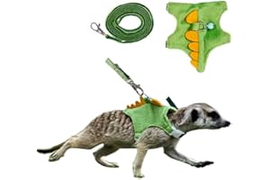 MERCRI Ferret Harness and Leash Set Small Animals Dinosaur Costume Dino Shaped Ferret Clothes with Safe Bell Small Pet Vest Harness for Baby Rabbit Guinea Pig Teacup (Green, Dinosaur)