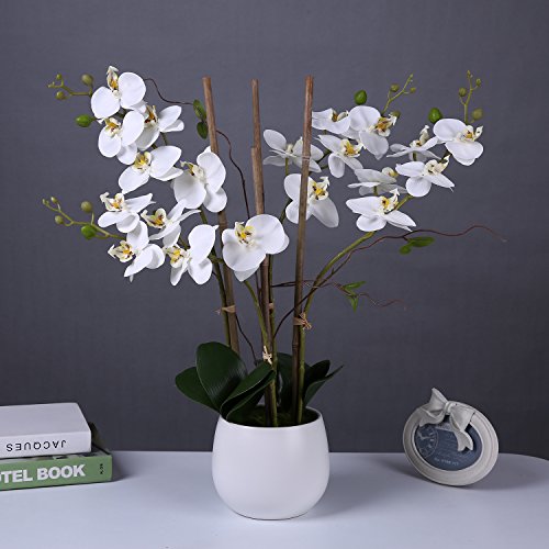 image for Livilan Large White Silk Orchid Artificial Flower Arrangements with Va