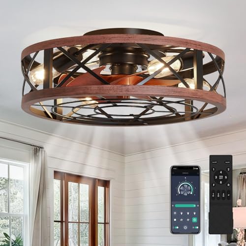 AQUBT 19'' Caged Ceiling Fans with Lights and Remote, Fandelier Ceiling Fan with Light, 6 Speeds and Reversible, Low Profile Ceiling Fan with Light for Bedroom, Living Room and Kitchen