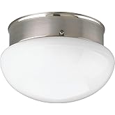 Progress Lighting P3408-09 1-Light Close-To-Ceiling Fixture, Brushed Nickel