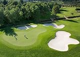 Creeping BentGrass Seeds, 1 Pound