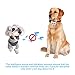 Bark Collar for Small Large Medium Dog COSEZIN Humane No Bark Dog Training Collar with Beep Vibration Harmless Shock 3 Modes, Waterproof, Rechargeable, Anti Bark Device 2018 New