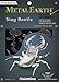 Metal Earth Tarantula Spider 3D Metal Model Kit Fascinations
