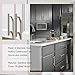 homdiy Brushed Nickel Cabinet Knobs 5 Pack - HD201SN T Bar Cabinet Pull Single Hole with 2in Overall Length Brushed Nickel Cabinet Hardware Knobs Kitchen Metal Drawer Knobs for Bathroom, Closet