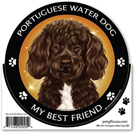 Brown Portuguese Water Dog My Best Friend Magnet