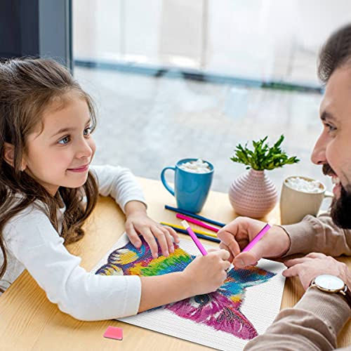 DIY Diamond Painting Kit Cats 13.7 x 17.7 inch, 5D Full Drill Rhinestone DIY Crafts for Adults & Kids Colorful Cat Crystal Gem Arts Painting Perfect for Home Wall Decor