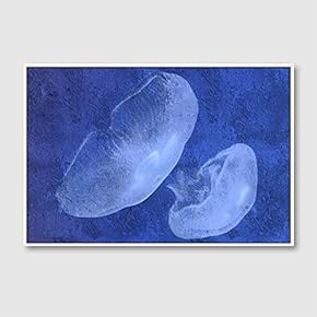 Framed Canvas Wall Art for Living Room, Bedroom Floating Jellyfish II Canvas Prints for Home Decoration Ready to Hang - 16x24 inches