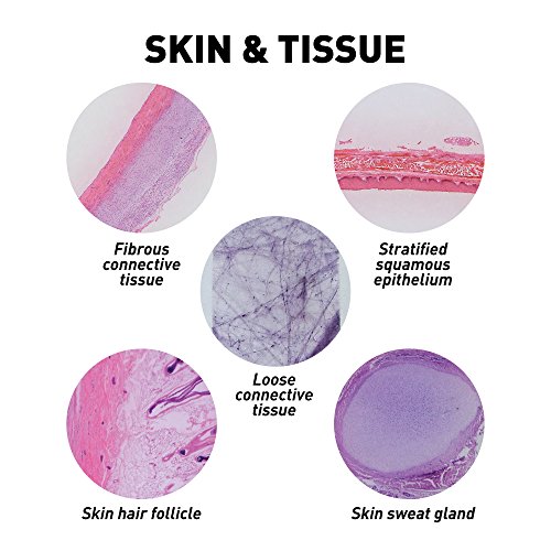 4 GEOGRAPHIC+Professional+Specimens+Microscope+Organization