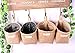 FANTASIEN 4 Pack Toy Storage Bag Bear Pattern Organizers for Kids Toys, Baby kids Clothing, Children Books, Gift Bag