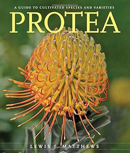 Download Protea: A Guide to Cultivated Species and Varieties PDF