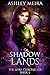 Shadowlands: a New Adult Urban Fantasy Novel (The Spire Chronicles Book 4)