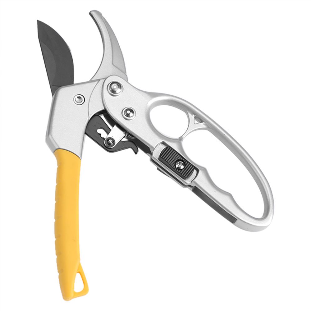 Professional Pruning Shears,Brunch Flower Cutter Hand Pruner Gardening Plant Scissors Tree Trimmers,High Carbon Steel