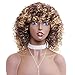 N&T Nicole and Tulip N&T Ombre Afro Kinky Curly Wigs for Black Women Ombre Blonde Synthetic Curly Hair Daily for Women