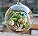 Set of 18pcs 3.15 inches Hanging Tealight Candle Holder Glass Globes DIY Plants Terrarium Wedding Home Decorations…