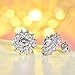 Roslynd 14K White Gold Plated Stud Earrings for Women, Girl, Professional, Hypoallergenic Cubic Zirconia Earring Studs