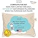 Toddler Pillowcase Dinosaurs | 100% Organic Cotton | Hypoallergenic | 14X19 inch | Fits Toddler Pillow 13x18 inch (Dinosaurs)