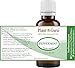 Plant Guru Peppermint Essential Oil 30 ml / 1 oz 100% Pure Undiluted Therapeutic Grade Extract of Mentha Piperita - Great for Aromatherapy, Diffuser, Skin, Body and Hair
