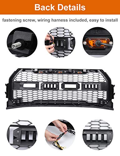 3 Raptor+innhom+Grille+2015+2017+Accent