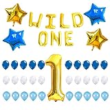WILD ONE BIRTHDAY DECORATION KIT, Blue and White Balloons Set Perfect for 1st Bday Party Supplies Girl or Boy with One FREE Number 1 Cake Topper