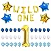 WILD ONE BIRTHDAY DECORATION KIT, Blue and White Balloons Set Perfect for 1st Bday Party Supplies Girl or Boy with One FREE Number 1 Cake Topper