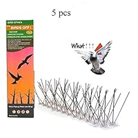 RRSHUN Stainless Steel Bird Spikes Strips Pigeon Spikes with Deterrent Spikes & 360 Degrees Flexible Base Great Defenders for Flat or Curved Surface