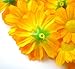 (100) Silk Yellow Orange Gerbera Daisy Flower Heads , Gerber Daisies - 1.75