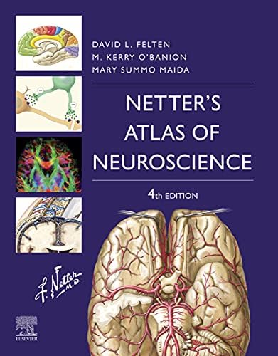 Amazon.com: Osborn's Brain E-Book eBook : Osborn MD, FACR, Anne G
