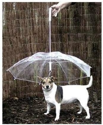 Happy Pets Parapluie Chien Chat Protéger Vos Amis Mignons Sous La Pluie
