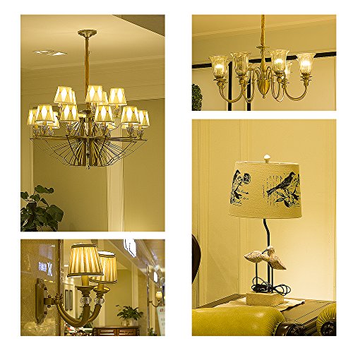 Rayhoo E12 Base LED Light Bulbs Dimmable, Candelabra LED Bulbs 10W
