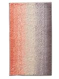 iDesign Ombre Microfiber Polyester Bath Mat, Non-Slip Shower Accent Rug for Master, Guest, and Kids' Bathroom, Entryway, 34" x 21", Coral, Ivory, and Gray