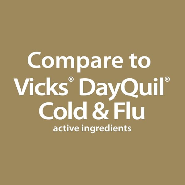 GOODSENSE DAYTIME COLD AND FLU MULTI-SYMPTOM RELIEF, 12 FLUID OUNCE