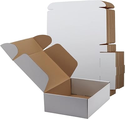 RLAVBL 20 Pack 12x9x4in White Corrugated Shipping Boxes 30.5x22.9x10.2cm