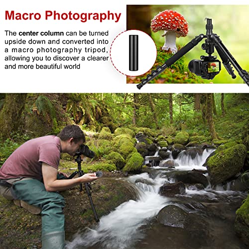 Tripod for Camera, 81" Camera Tripod Stand, 83 inches DSLR Tripods