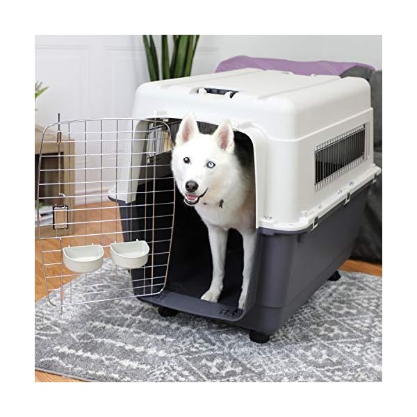 SportPet Designs Plastic Kennels Rolling Plastic Wire Door Travel Dog