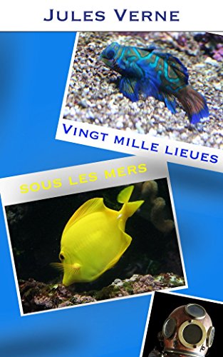 Vingt mille lieues sous les mers (illustré) - Tome I & II (French Edition)