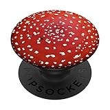 Red Fly Agaric Amanita Mushroom Fungus Hipster