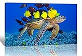 Purple Verbena Art 1pcs Stretched and Framed Sea Turtle with Fishes Pictures Photo Prints on Canvas Wall Paintings, 12''x16'' High Giclee Walls Artwork for Home Room Decor Decorations, Ready to Hang