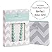 Goobie Baby Audrey Silicone Teething Necklace for Mom to Wear, Nursing Necklace Chew Bead (Gift Box Packaging - Mint)