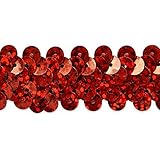 Expo International Inc. 2 Row Starlight Hologram Stretch Sequin Trim, 20 yd, 7/8