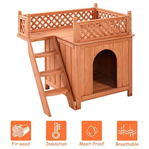 The 5 Best Dog Houses for Small Dogs [2021 Review]