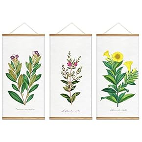 Hanging Poster with Wood Frames Beautiful Green Plants...