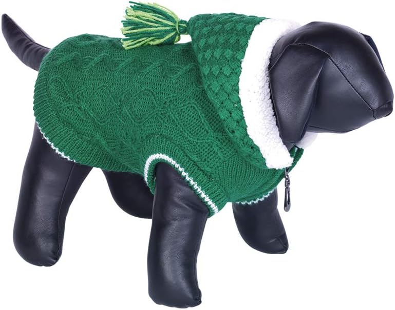 green dog jumper