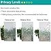 Non Adhesive Decorative Window Film, Static Cling Glass Film, Removable Privacy Door Film Window Cling, Stained Glass Window Decoration Heat Control & Anti UV