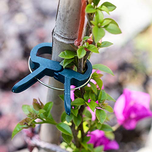 CASEWIN Garden Plant Stem Support Clips 40 Pcs 2 Sizes Reusable