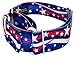 Country Brook Petz - HossFit Jr Wide Martingale Dog Collar - Americana Collection Featuring Patriotic Designs (Patriotic Tribute, Medium)